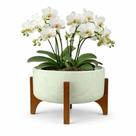 Vaso Bacia Linha Genebra com Suporte de Madeira 24cm - Vaso Bacia Linha Genebra com Suporte de Madeira 24cm -