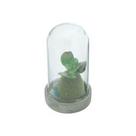 VASO BASE CONCRETO TAMPA VIDRO SIMPLE PLANTS JADE VERDE 9X9X16,5cm - Urban