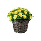 Vaso Bicicleta Miniatura com Arranjo de Flores - Decoração