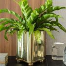 Vaso Botanique Gold24K Vaso Botanique Gold24K
