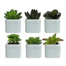 Vaso Branco Decorativo em Ceramica com Suculenta