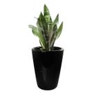 Vaso Cachepot 38cm Tamanho M Preto Alto Brilho Pozzani Vaso Cachepot 38cm Tamanho M Preto Alto Brilho Pozzani