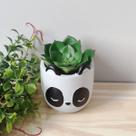 Vaso Cachepot Animals