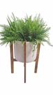 Vaso Cachepot Areia com Tripé de madeira recuperada 33cm diam x 54cm altura Vaso Cachepot Areia com Tripé de madeira recuperada 33cm diam x 54cm altura