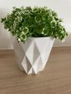 Vaso Cachepot Cerâmica Branca com Detalhes Losango 9x9x9xcm e Planta Decor