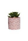 Vaso Cachepot em Cimento com Planta Artificial Suculenta