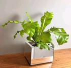 Vaso Cachepot Prata Espelhado Plantas Luxo Decoração