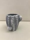 Vaso cacto patina suculenta Vaso cacto patina suculenta