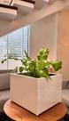 Vaso Centro De Mesa Vidro Branco Plantas Flores Decoração Vaso Centro De Mesa Vidro Branco Plantas Flores Decoração