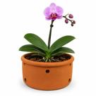 Vaso Cerâmica Furado Orquídea 9x18cm Vaso Cerâmica Furado Orquídea 9x18cm