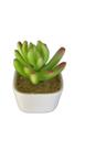 Vaso Cerâmica Planta Artificial Suculenta Alga Vaso Cerâmica Planta Artificial Suculenta Alga