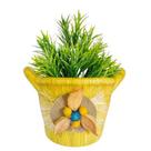 Vaso Cesto Grande com arranjo para Suculentas Plantas e Plantinhas Artificial Decorações