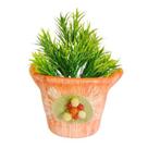 Vaso Cesto Grande com arranjo para Suculentas Plantas e Plantinhas Artificial Decorações
