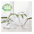 Vaso Cilindro De Vidro Tubo 10x20 Para Decoração Arranjos Atemporal