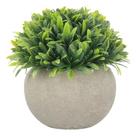 Vaso Cimento Queimado Suculenta Artificial Decoração Mesa Vaso Cimento Queimado Suculenta Artificial Decoração Mesa