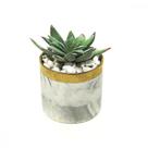 Vaso com Planta Artificial Suculenta Arvore Arranjo Vasos Decorativos Cerâmica Mármore Objeto de Decoração Sala 12cm