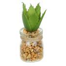 Vaso Com Suculenta Folha Alta Verde Escuro 10X7 Cm - Du0027Rossi