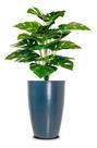 Vaso Cone Liso 55 Azul Macaúba Vaso Cone Liso 55 Azul Macaúba