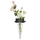 Vaso Danya B Amphora Glass Wall Mount 33x23x13cm