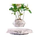 Vaso De Bonsai Magnético Flutuante, Plantador De Flores Rotativo, Suporte De Plantas Flutuante Para