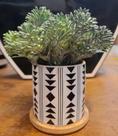 Vaso de Cerâmica Branco base de Madeira com pick verde Artificial 15cm