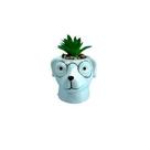 Vaso De Cerâmica Com Planta Artificial Animal - Megagift