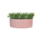 Vaso de Cerâmica G Cilíndrica Terni Rosa Bebê Matte 25 cm