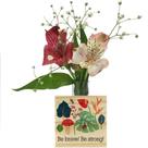 Vaso De Cubinho 7x7 Love Garden