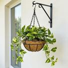Vaso de Fibra de Coco 20cm Suspenso com Corrente Para Plantas E Flores Vaso de Fibra de Coco 20cm Suspenso com Corrente Para Plantas E Flores