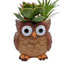 Vaso de flores em forma de coruja em forma de coruja, vaso de plantas para animais, 9x9x10cm