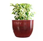 Vaso De Planta Flor Cone Decorativo Luxo Polietileno N1-VERMELHO Vaso De Planta Flor Cone Decorativo Luxo Polietileno N1-VERMELHO