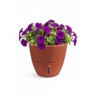Vaso de Planta Inteligente Autoirrigável Cone P Decorativo Vaso de Planta Inteligente Autoirrigável Cone P Decorativo