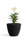Vaso de Planta Inteligente Autoirrigável Cone P Decorativo Vaso de Planta Inteligente Autoirrigável Cone P Decorativo
