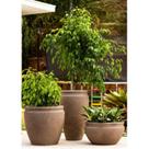 Vaso de Plantas Decorativo Antique 55 Japi