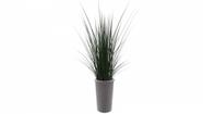 Vaso de plantas