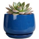 Vaso de plantas G EP Gardening redondo de cerâmica de 15 cm com pires azul