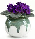 Vaso de Plantas LITUDISO 15 cm Autorrigável de Cerâmica Verde Vaso de Plantas LITUDISO 15 cm Autorrigável de Cerâmica Verde