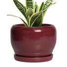 Vaso de plantas SQOWL Ceramic 15 cm vermelho com orifício de drenagem e pires Vaso de plantas SQOWL Ceramic 15 cm vermelho com orifício de drenagem e pires