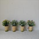 Vaso de polpa de papel com flores artificiais lirio paz casual home