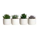 Vaso de Suculenta Artificial Decorativo Cimento 7,5X11,3CM 2268 PARAMOUNT Vaso de Suculenta Artificial Decorativo Cimento 7,5X11,3CM 2268 PARAMOUNT