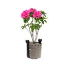 Vaso de Suculentas e Plantas 3 Litros Decoração Vaso de Suculentas e Plantas 3 Litros Decoração