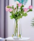Vaso de vidro Aoderun Modern Home Decor Flower Bouquet 20cm