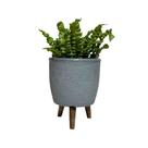 Vaso Decorativo 20cm Com Tripé De Madeira Para Plantas E Flores