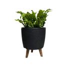 Vaso Decorativo 20cm Com Tripé De Madeira Para Plantas E Flores Vaso Decorativo 20cm Com Tripé De Madeira Para Plantas E Flores