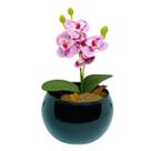 Vaso Decorativo Aquario Preto Esmaltado com Mini Orquídea