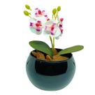 Vaso Decorativo Aquario Preto Esmaltado com Mini Orquídea
