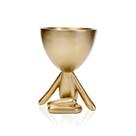 Vaso Decorativo Bob Robert Planta Em Poliresina Dourado 14,5x11x10 cm M02 - D'Rossi