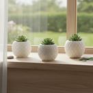 Vaso Decorativo Branco Moderno em Cerâmica Estilo Minimalista