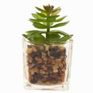 Vaso Decorativo C/ Planta Artificial 5x5cm Em Vidro