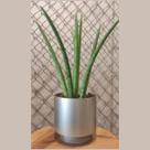 Vaso decorativo cachepot 150X150X150mm